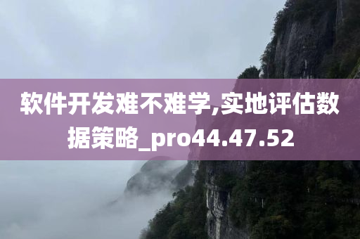 软件开发难不难学,实地评估数据策略_pro44.47.52