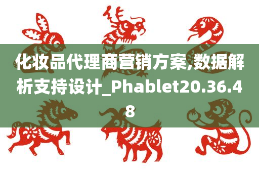 化妆品代理商营销方案,数据解析支持设计_Phablet20.36.48