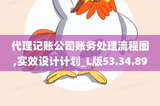 代理记账公司账务处理流程图,实效设计计划_L版53.34.89