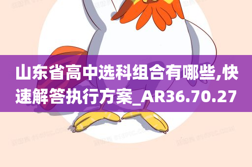 山东省高中选科组合有哪些,快速解答执行方案_AR36.70.27