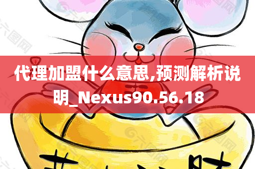 代理加盟什么意思,预测解析说明_Nexus90.56.18