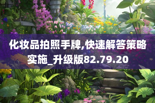 化妆品拍照手牌,快速解答策略实施_升级版82.79.20