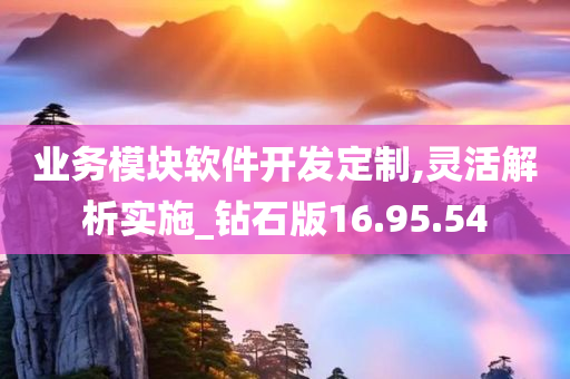 业务模块软件开发定制,灵活解析实施_钻石版16.95.54