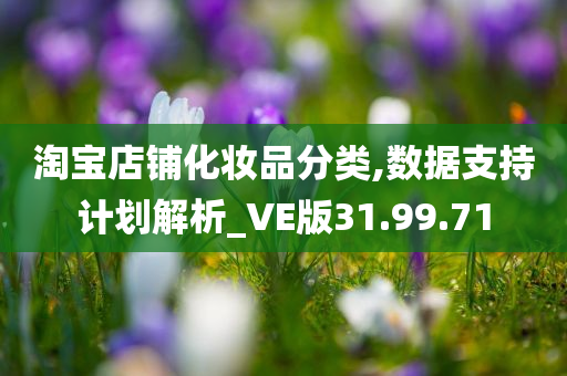 淘宝店铺化妆品分类,数据支持计划解析_VE版31.99.71