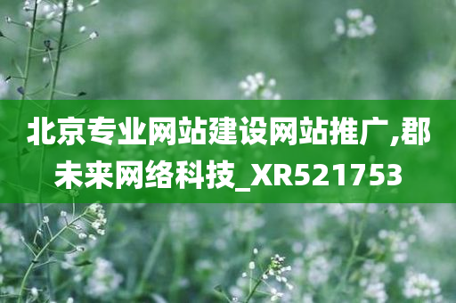 北京专业网站建设网站推广,郡未来网络科技_XR521753