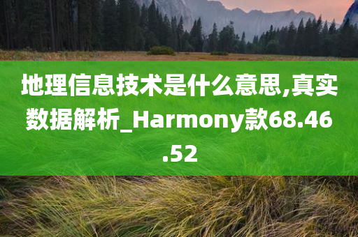 地理信息技术是什么意思,真实数据解析_Harmony款68.46.52