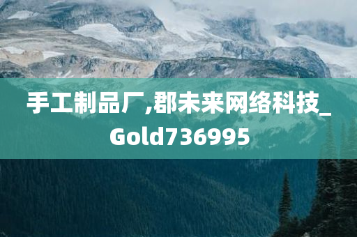 手工制品厂,郡未来网络科技_Gold736995