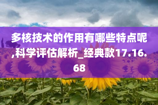 多核技术的作用有哪些特点呢,科学评估解析_经典款17.16.68