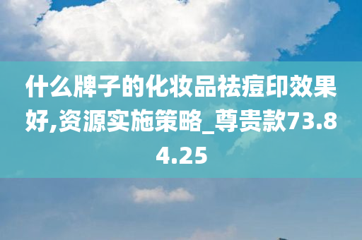 什么牌子的化妆品祛痘印效果好,资源实施策略_尊贵款73.84.25