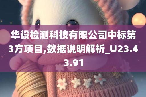 华设检测科技有限公司中标第3方项目,数据说明解析_U23.43.91