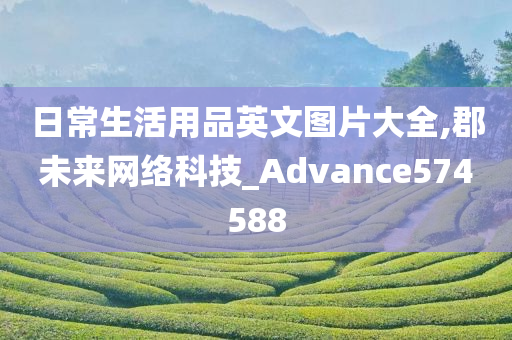 日常生活用品英文图片大全,郡未来网络科技_Advance574588