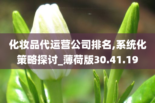 化妆品代运营公司排名,系统化策略探讨_薄荷版30.41.19