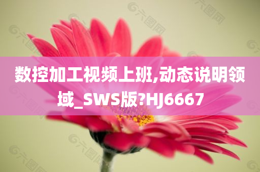 数控加工视频上班,动态说明领域_SWS版?HJ6667