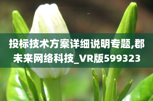 投标技术方案详细说明专题,郡未来网络科技_VR版599323