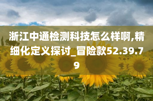 浙江中通检测科技怎么样啊,精细化定义探讨_冒险款52.39.79