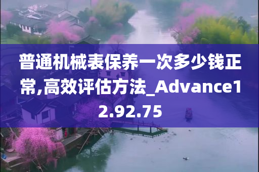 普通机械表保养一次多少钱正常,高效评估方法_Advance12.92.75