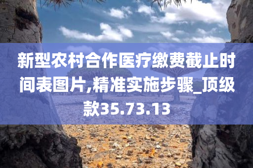 新型农村合作医疗缴费截止时间表图片,精准实施步骤_顶级款35.73.13