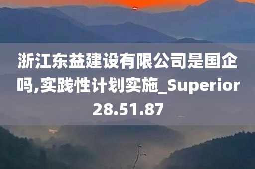 浙江东益建设有限公司是国企吗,实践性计划实施_Superior28.51.87