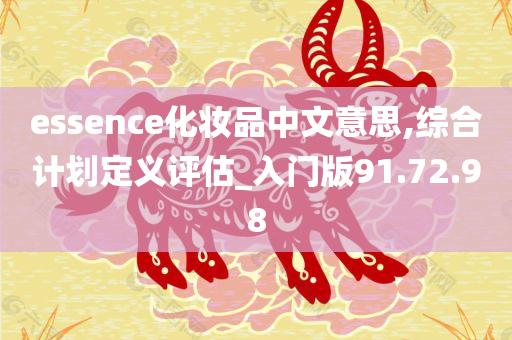 essence化妆品中文意思,综合计划定义评估_入门版91.72.98