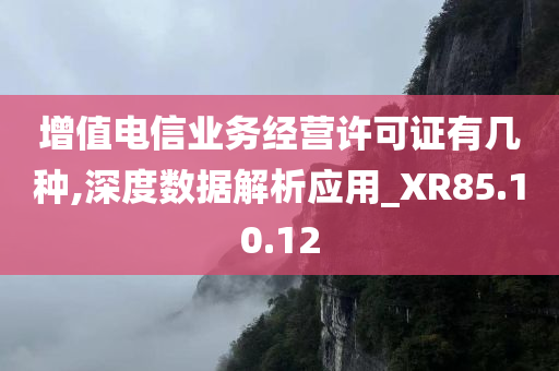 增值电信业务经营许可证有几种,深度数据解析应用_XR85.10.12