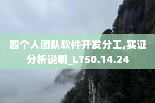 四个人团队软件开发分工,实证分析说明_LT50.14.24