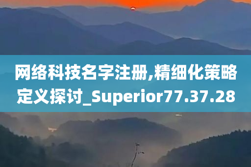 网络科技名字注册,精细化策略定义探讨_Superior77.37.28