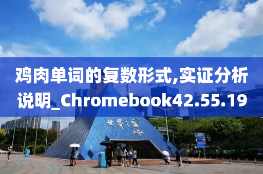 鸡肉单词的复数形式,实证分析说明_Chromebook42.55.19