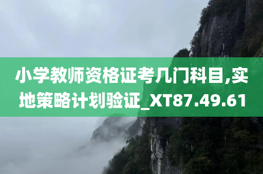 小学教师资格证考几门科目,实地策略计划验证_XT87.49.61