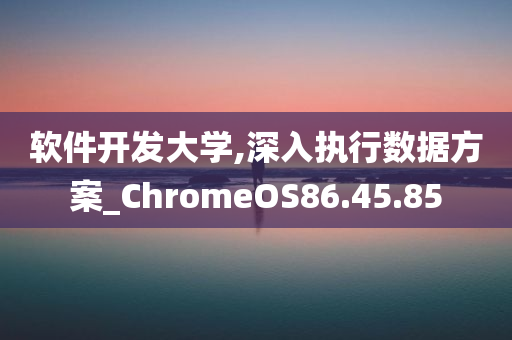 软件开发大学,深入执行数据方案_ChromeOS86.45.85