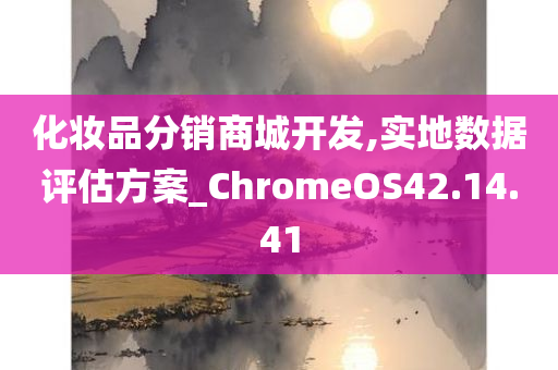 化妆品分销商城开发,实地数据评估方案_ChromeOS42.14.41