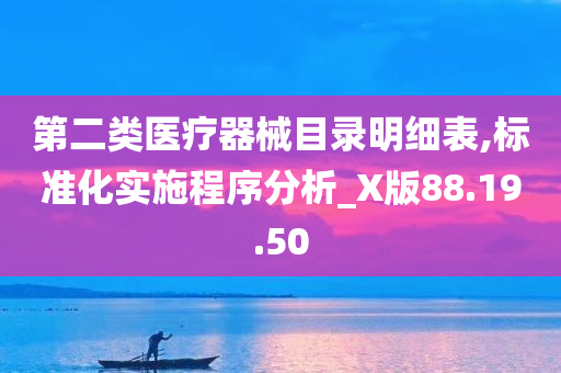 第二类医疗器械目录明细表,标准化实施程序分析_X版88.19.50