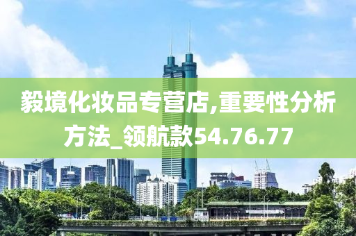 毅境化妆品专营店,重要性分析方法_领航款54.76.77