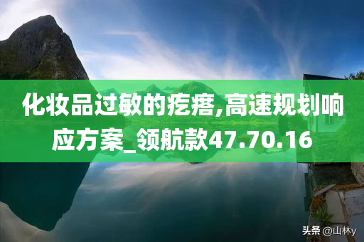 化妆品过敏的疙瘩,高速规划响应方案_领航款47.70.16