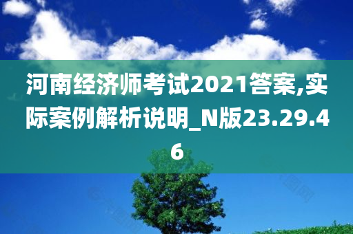 河南经济师考试2021答案,实际案例解析说明_N版23.29.46