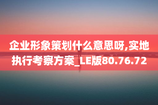 企业形象策划什么意思呀,实地执行考察方案_LE版80.76.72