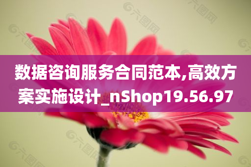 数据咨询服务合同范本,高效方案实施设计_nShop19.56.97