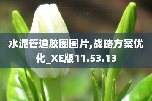 水泥管道胶圈图片,战略方案优化_XE版11.53.13