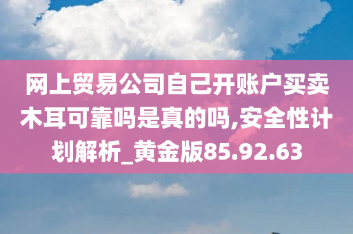 网上贸易公司自己开账户买卖木耳可靠吗是真的吗,安全性计划解析_黄金版85.92.63