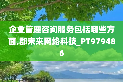 企业管理咨询服务包括哪些方面,郡未来网络科技_PT979486