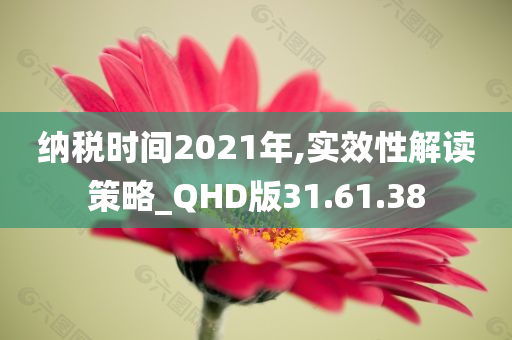 纳税时间2021年,实效性解读策略_QHD版31.61.38