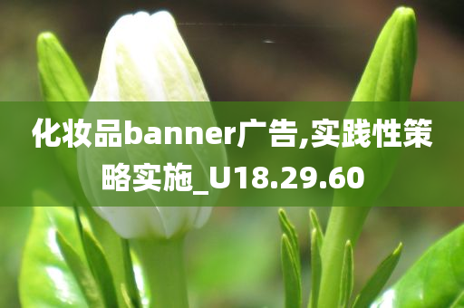 化妆品banner广告,实践性策略实施_U18.29.60