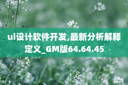 ui设计软件开发,最新分析解释定义_GM版64.64.45