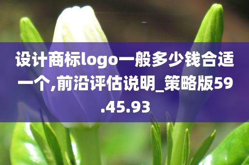 设计商标logo一般多少钱合适一个,前沿评估说明_策略版59.45.93