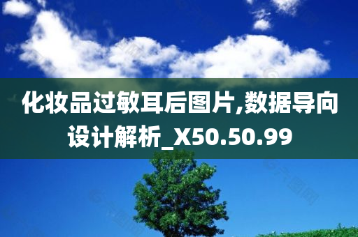 化妆品过敏耳后图片,数据导向设计解析_X50.50.99