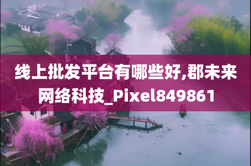 线上批发平台有哪些好,郡未来网络科技_Pixel849861