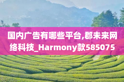 国内广告有哪些平台,郡未来网络科技_Harmony款585075