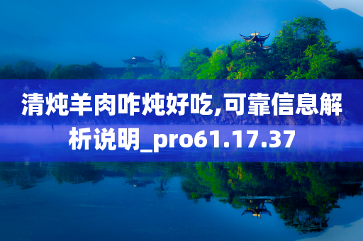 清炖羊肉咋炖好吃,可靠信息解析说明_pro61.17.37