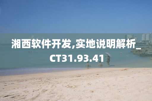 湘西软件开发,实地说明解析_CT31.93.41