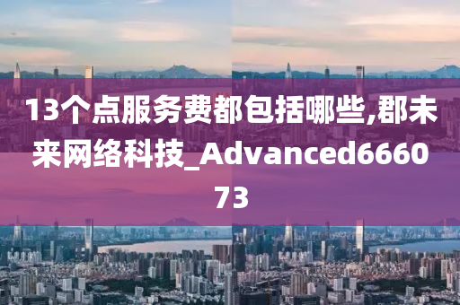 13个点服务费都包括哪些,郡未来网络科技_Advanced666073