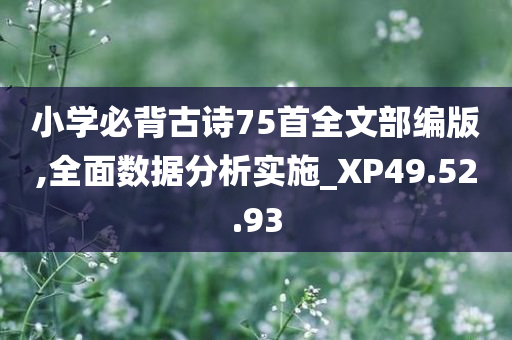 小学必背古诗75首全文部编版,全面数据分析实施_XP49.52.93